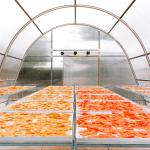 Customizable Smart Drying Greenhouse for Vegetables and Fruits in Controlled