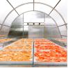 Buy cheap Solar Dryer Greenhouse With 8mm PC Board And Ventilation Greenhouse Metal Frame Temperature from wholesalers
