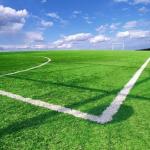 Football Field Synthetic Artificial Grass Anti UV For Landscaping Decoration OEM