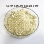 Anti Inflammatory Pomegranate Extract Ellagic Acid Cosmetic Grade
