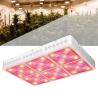 Buy cheap High PAR Output Full Spectrum Cree Led Grow Lights / Led Grow Panel Light 600W from wholesalers