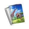 Buy cheap 0.6mm PET Material 3D Lenticular Notebook For Office Stationery from wholesalers