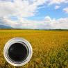 Buy cheap 30% Liquid Amino Acid Organic Nitrogen Fertilizer With 6.5% Organic Nitrogen from wholesalers