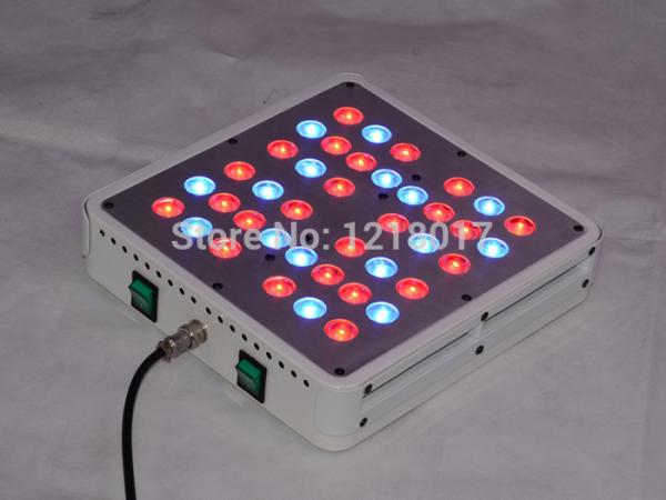 Buy cheap 5W Chip cidly 4 LED Grow Light 5w*40 led grow light Red/Blue from wholesalers