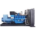 180KVA Natural Gas Generator Lpg Generator Biogas Generator With Cummins Yuchai