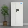 Buy cheap Safety Steel Office Password 1.2mm Document Storage Cabinet from wholesalers