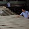 Buy cheap Artificial Wood Veneer of Golden Tree Ring 0.30mm G.TR-X3388 Slice Cut For Cabinet Face from wholesalers