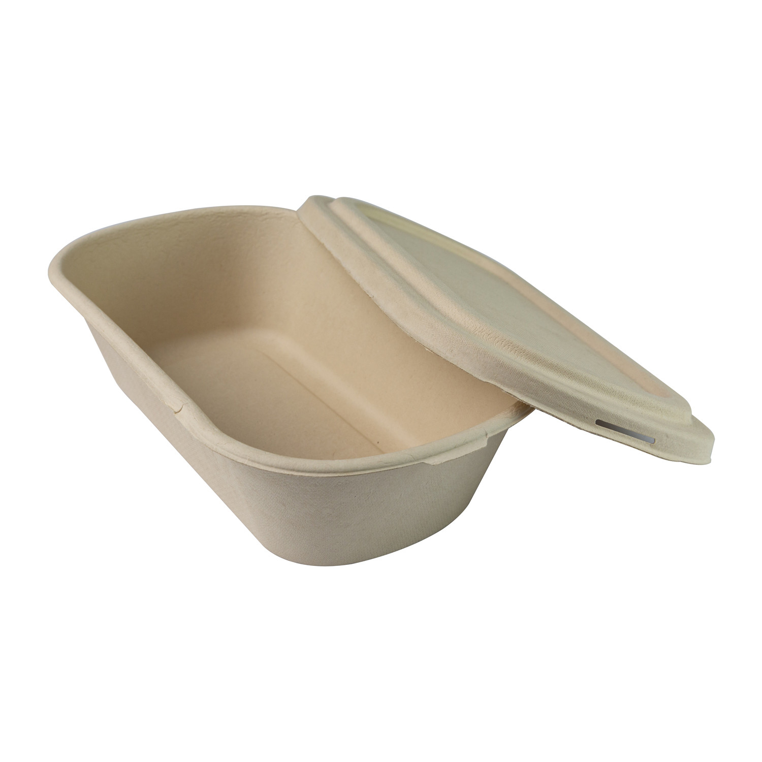 Sugarcane Bagasse Food Container Lunch Food Bagasse Take Out Refrigerator