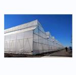 Large Sawtooth Greenhouse Shine Tech Poly Tunnel Tropical Greenhouse With