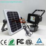 fashion design solar PIR led flood light china