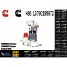 Buy cheap Cummins Fuel Pump Assembly 3417677 ISM11 Cummins 3417674 3090942 QSM11 Construction Machinery Pump from wholesalers