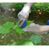 Buy cheap Food Service Water Proof Tpe Disposable Plastic Gloves 1.6g/Pc from wholesalers