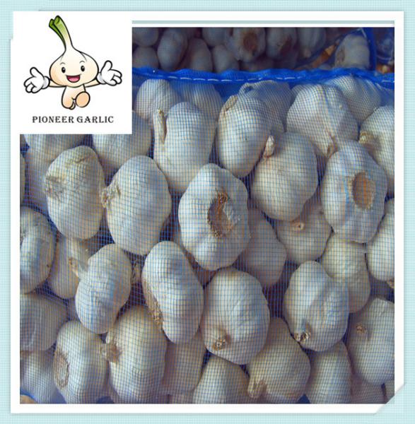 Buy cheap High Quality Quick Delivery China Garlic Price High Class Bulk Garlic For Sale from wholesalers