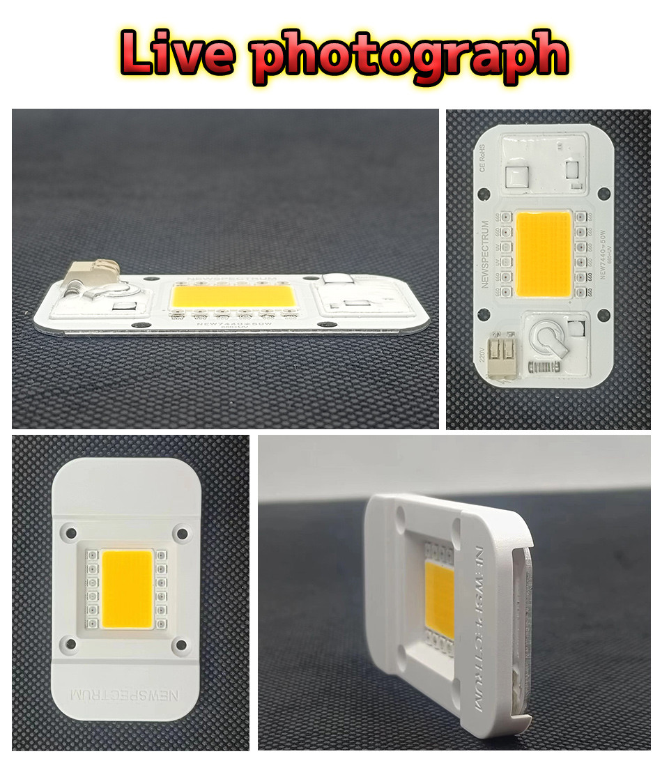 50HZ COB Led Chip