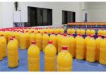 Complete Fruit Juice Production Line 75kw Apple Juice Making Equipment