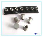High Strength Self Penetrating Rivets JIS Standard 5.3x6mm 5.3x7mm 5.3x8mm
