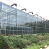 Buy cheap 4mm Superior Tempered Pattern Greenhouse Roof Glass for Vagetables and Plants from wholesalers