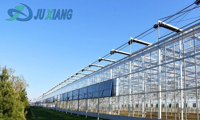 Commercial Cucumber Cultivation Sunlight Greenhouse Solution