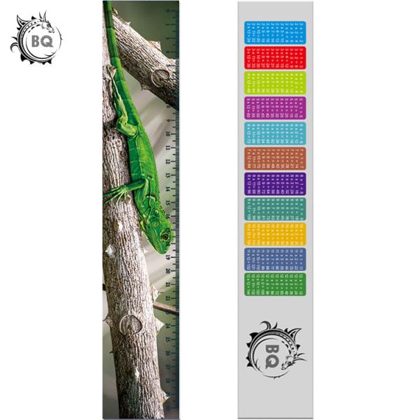 Buy cheap High Definition Motion 3D Lenticular Ruler Animal Design For Students from wholesalers