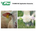 Long Range TPU RFID Ear Tag Rfid Cattle Ear Tag Animal Tagger For Goat Feeder