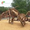 Buy cheap Road Decoration Dinosaur Triceratops Skeleton from wholesalers