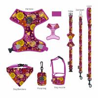 Buy cheap Nylon Dog Leash Collar Set Fashion Fancy Luxury Polyester Breathable product