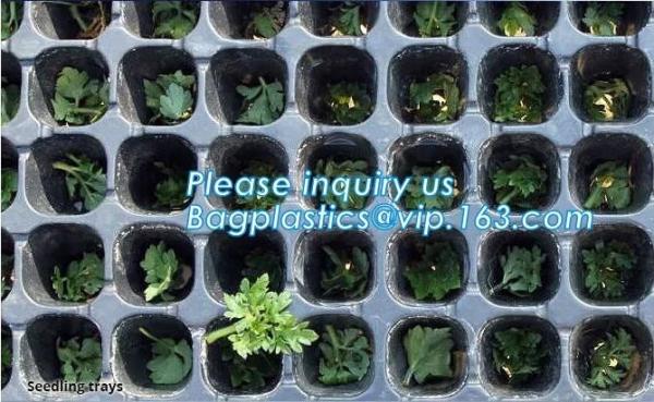 Buy cheap plastic nursery tray seedling tray have different numbers cups,Plastic Flowers Seedling Hydroponics Nursery Trays, BIO from wholesalers