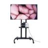 Buy cheap 3840x2160p Ultra 4K Endoscope Camera Medical Monitor 55inch from wholesalers