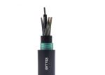 Non - Metallic FRP 2-288C GYFTA53 Outdoor Fiber Optic Cable With Multi Tube