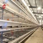 Full Automatic Battery Cage Price In Nigeria H type layer Mia