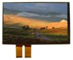 IPS LCD TFT Display Module