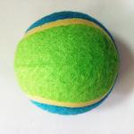 Snow printing tennis ball toy