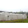 Buy cheap 150/200 Micro Covering PE Multi Span Film Greenhouse For Tomato Farming In Agriculture from wholesalers