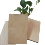 Hardwood CARB 5mm 12mm Formica Faced Birch Plywood