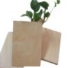 Buy cheap Hardwood CARB 5mm 12mm Formica Faced Birch Plywood from wholesalers