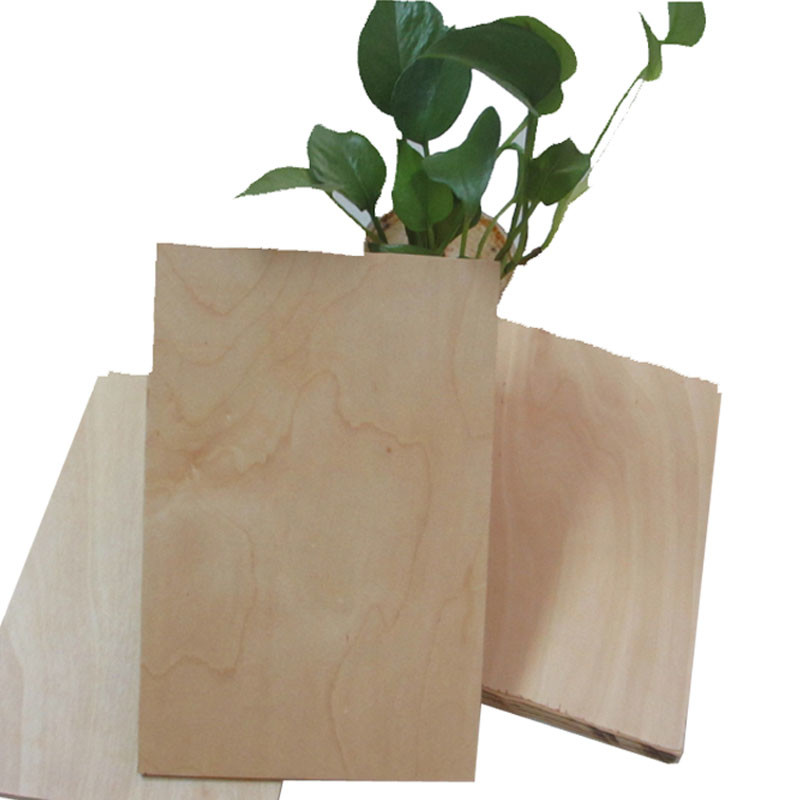 CARB 12mm 18m Birch Hardwood Plywood For Furniture