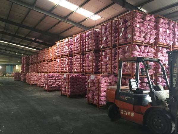 Buy cheap CHINESE GARLIC from wholesalers