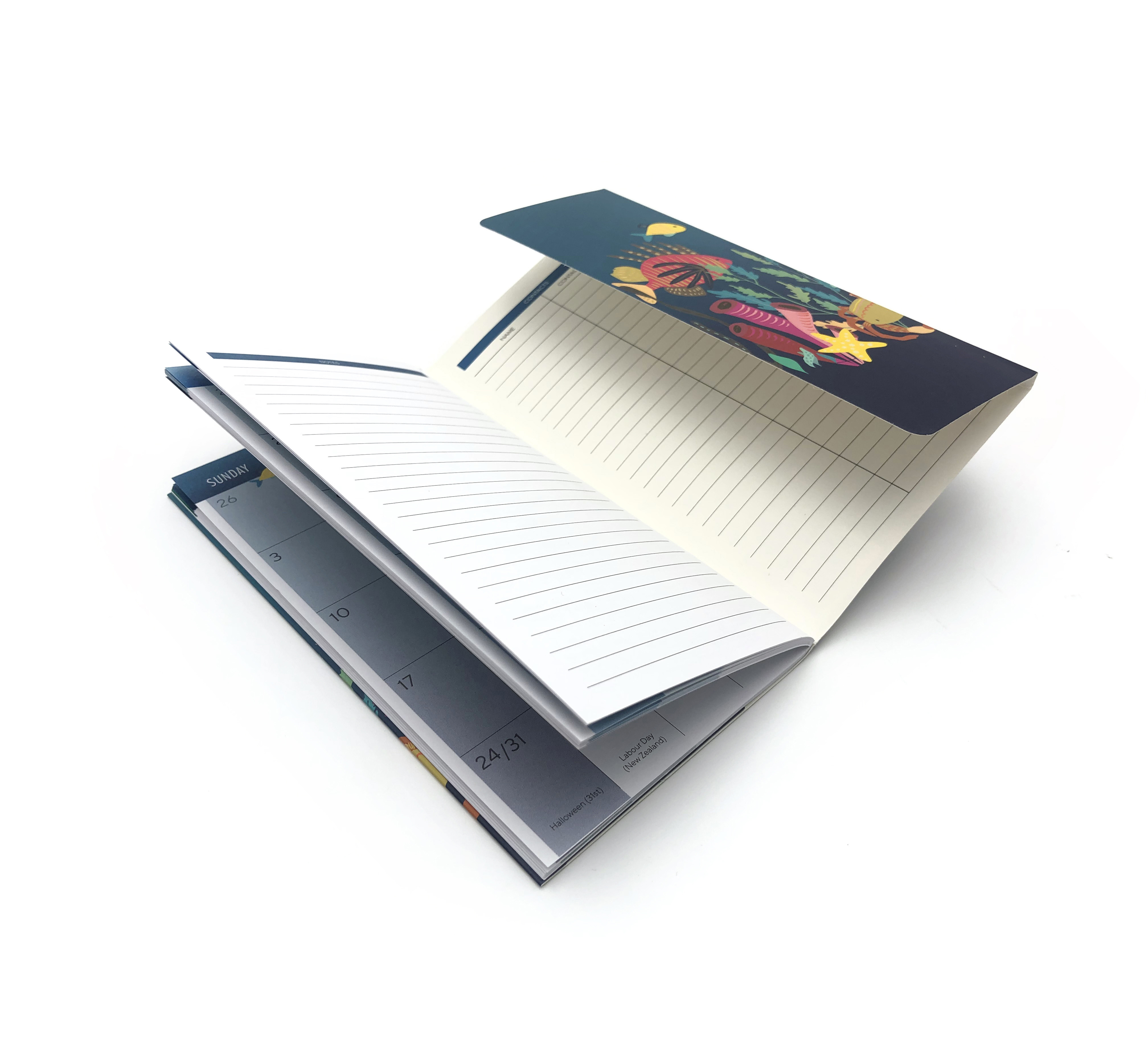 A5 A3 Catalogue Brochure Printing Services Offset With Matte Lamination