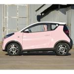 Chery Pure Electric 2023 251KM Reai Revised Max Speed 100KM/H Fast Charge Mini