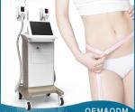 Cryopolysis 1800W big handle size working together vacuum weight loss machine