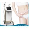 Buy cheap Cryopolysis 1800W big handle size working together vacuum weight loss machine from wholesalers