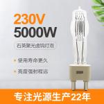 Buy cheap 230V 5000W G38 Studio Quartz Light Bulb Boat Halogen Lamp 180mm 125000lm from wholesalers