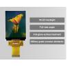 Buy cheap Polcd 3.5 inch 240x320 pixel size Small TFT Display 320x480 ILI9488 Driver IC from wholesalers