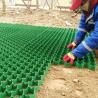 Buy cheap HDPE Grass Grid Manufacturer Plastic Gravel Paver Grid Grass Grid For Driveway And Parking Green Black Color from wholesalers