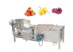 High Efficiency Stainless Steel Vegetable Washing Machine