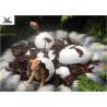 Buy cheap Weatherproof Life Size Dinosaur Models For Jurassic Theme Park Decoration from wholesalers