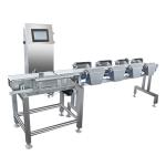 Multi Sorting Conveyor Weight Checker , High Accuracy Online Food Weighing