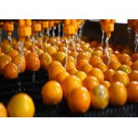 Buy cheap Industrial Citrus Processing Line Orange Lemon Processing Unit 1 Year Warranty product