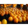 Buy cheap Professional Tangerine Citrus Processing Equipment 5T/H ISO Certificate from wholesalers