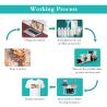 Buy cheap A3 Mini 13" 33cm Tshirt Printer with XP600 Print Heads CMYKW Ink and Powder Shaker Oven from wholesalers